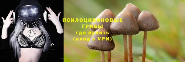 герыч Горняк